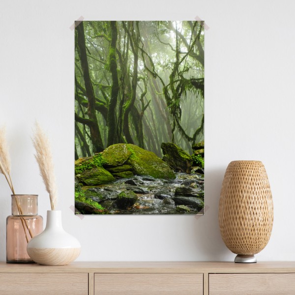 Poster moosiger wald mit bach im nebel – Wallnifity® Poster moosiger wald mit bach im nebel – Wallnifity®