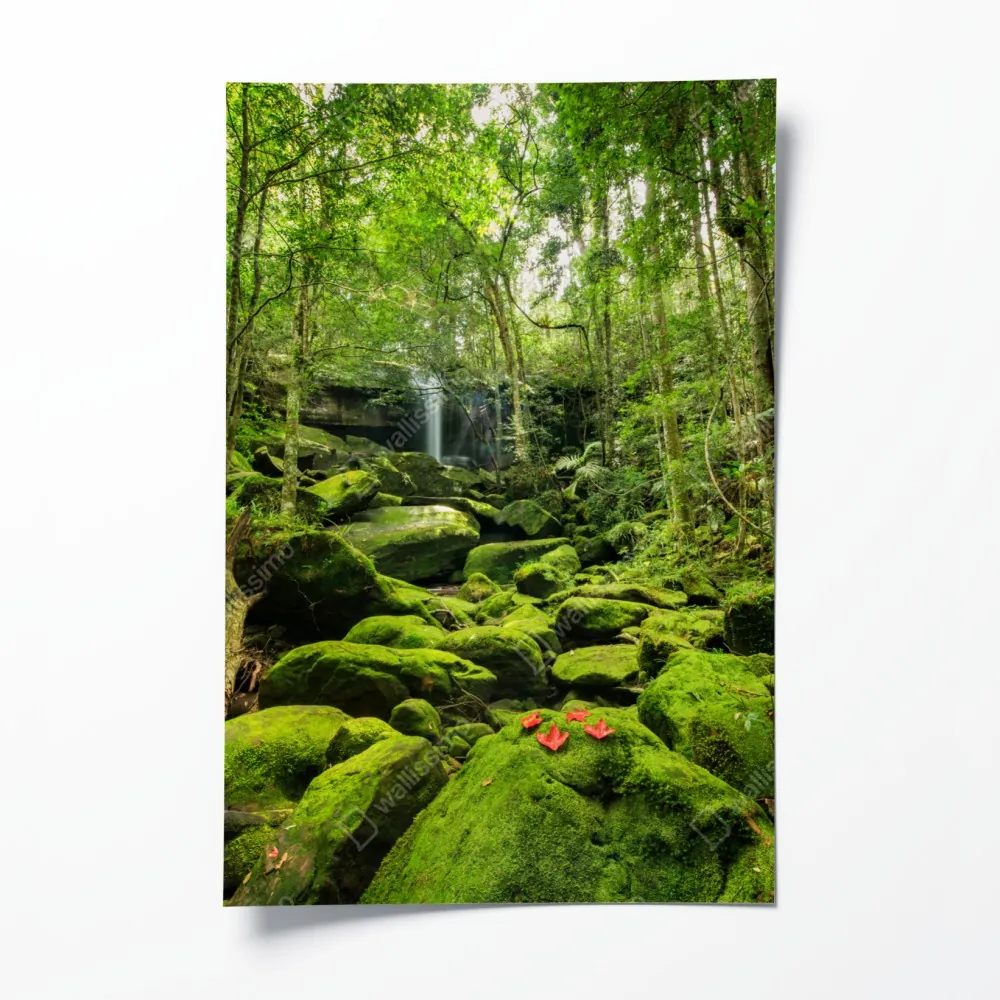Poster üppiger moosbewachsener wasserfall im tropischen wald – Wallnifity®