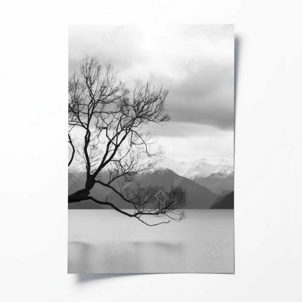 Poster einsamer baum im see in schwarzweiß – Wallnifity® Poster einsamer baum im see in schwarzweiß – Wallnifity®