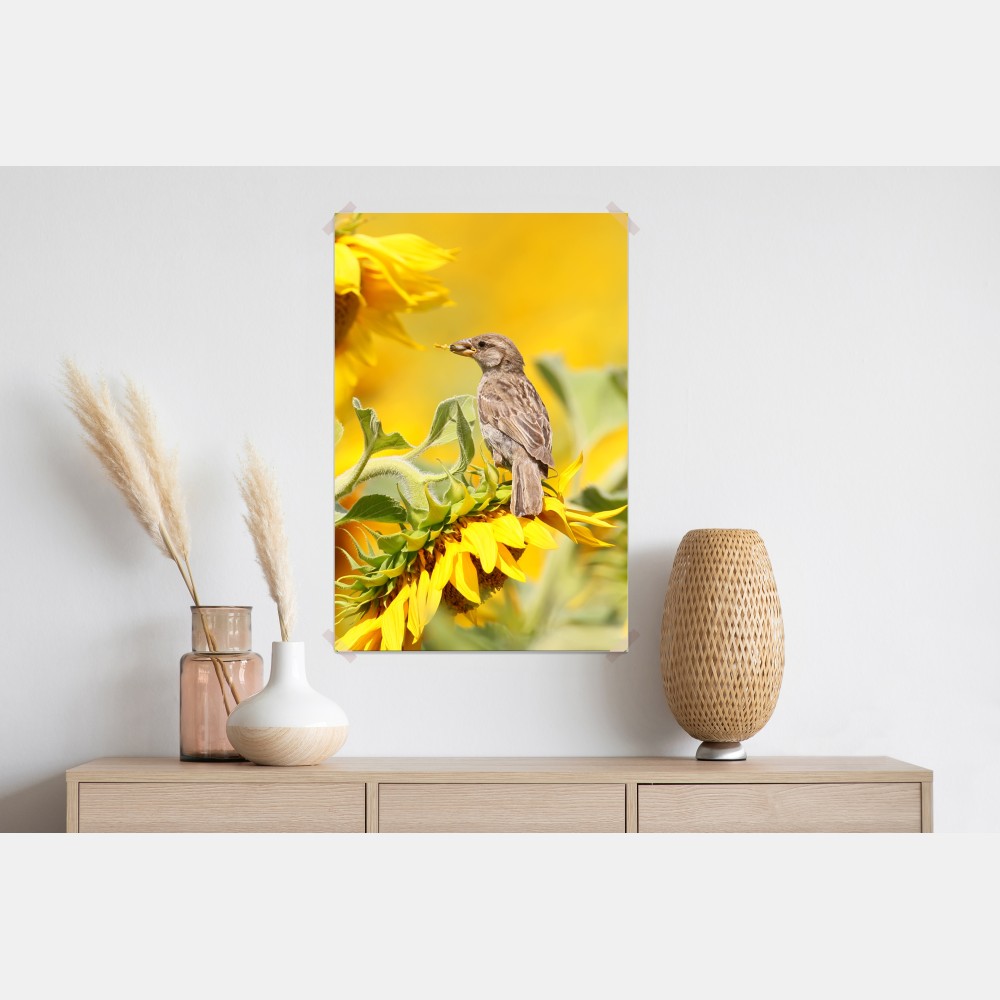 Poster spatz auf einer sonnenblume – Wallnifity® Poster spatz auf einer sonnenblume – Wallnifity®