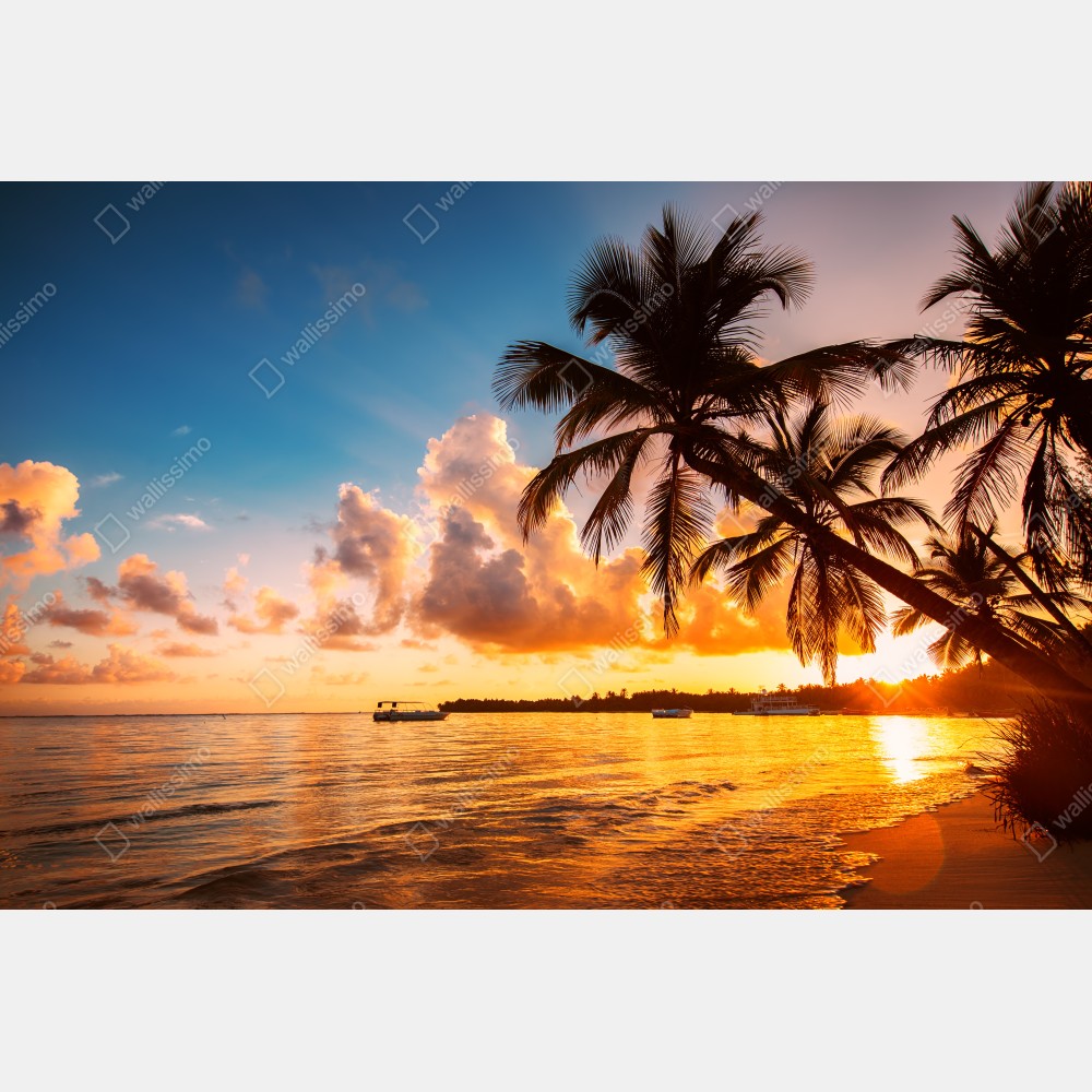 Poster tropischer sonnenuntergang mit palmensilhouetten, Dominikanische Republik – Wallnifity® Poster tropischer sonnenuntergang mit palmensilhouetten, Dominikanische Republik – Wallnifity®