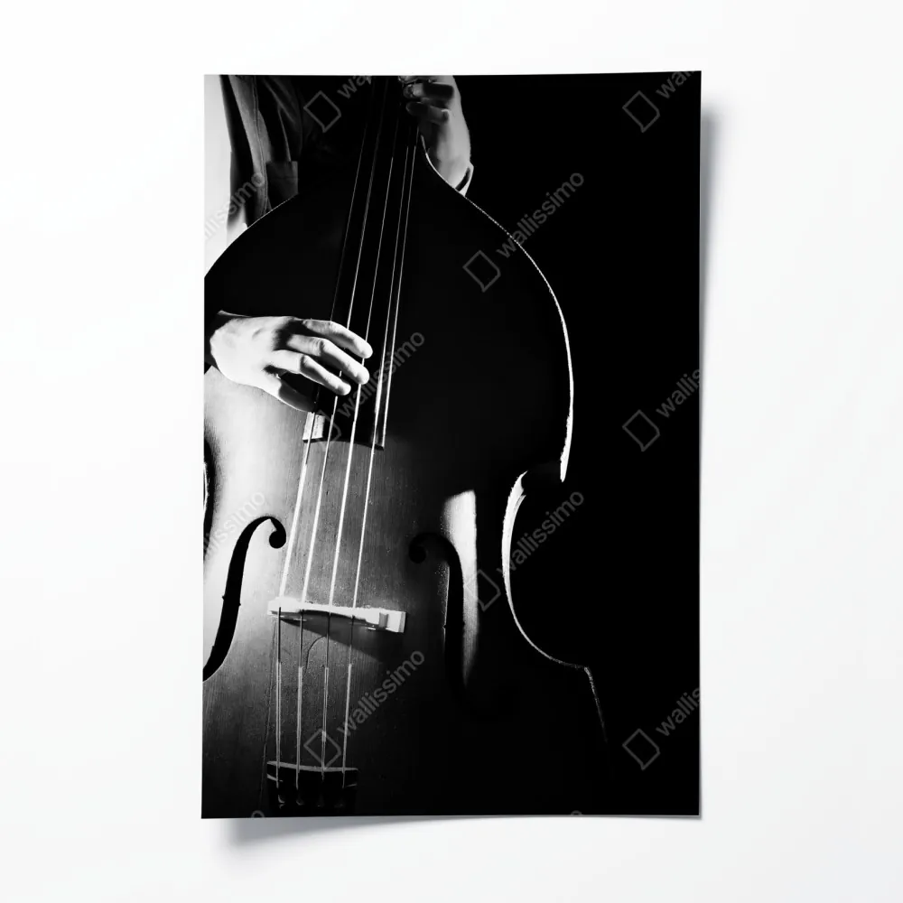 Poster kontrabassist im dramatischen licht – Wallnifity®