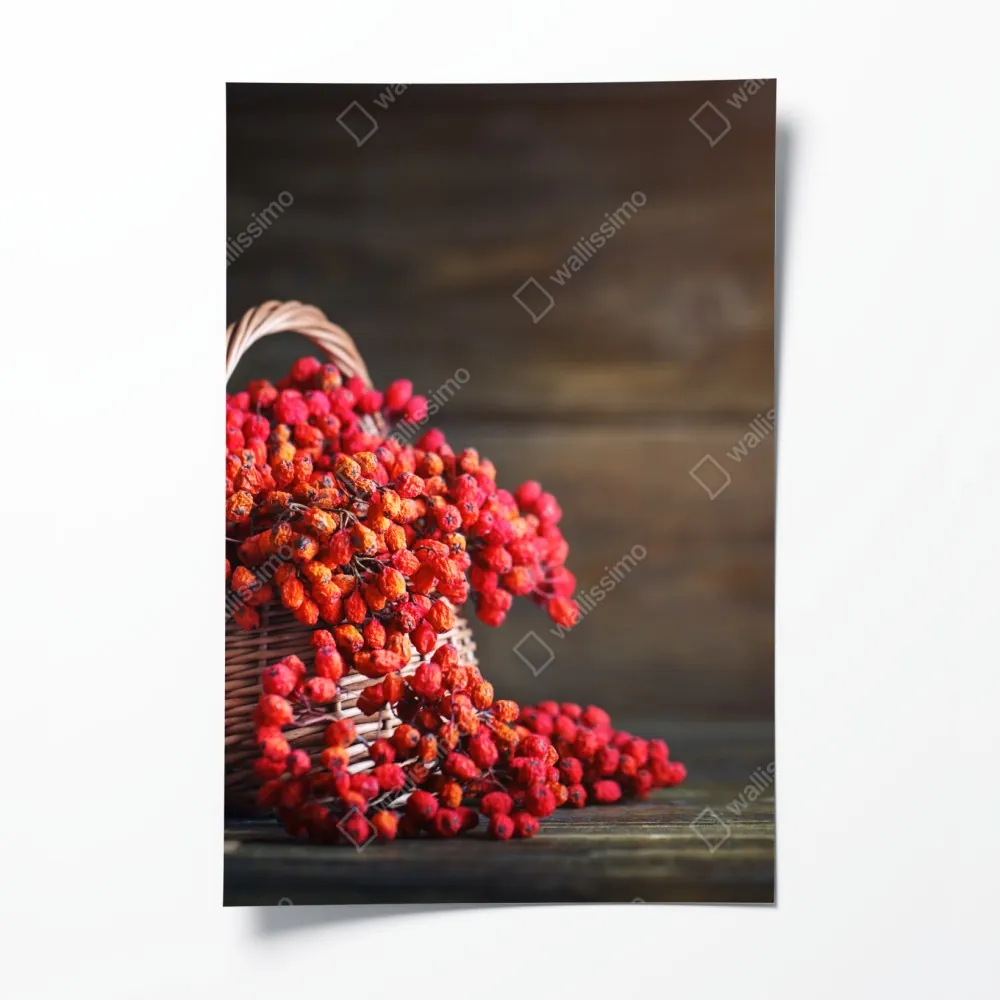 Poster herbstliche vogelbeeren im weidenkorb – Wallnifity® Poster herbstliche vogelbeeren im weidenkorb – Wallnifity®