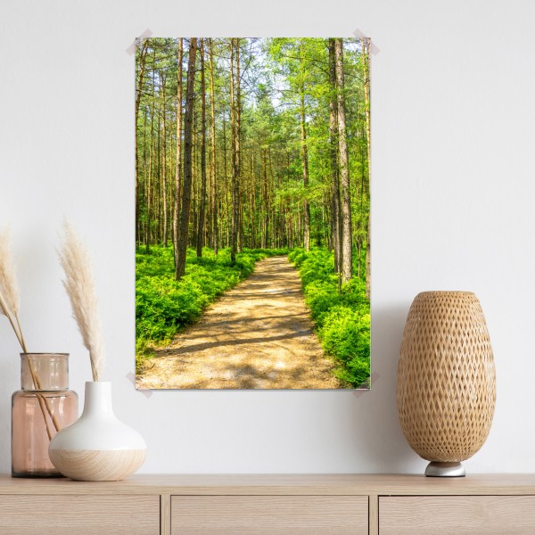 Poster sonniger waldweg zwischen kiefern – Wallnifity® Poster sonniger waldweg zwischen kiefern – Wallnifity®