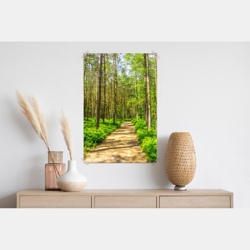 Poster sonniger waldweg zwischen kiefern – Wallnifity® Poster sonniger waldweg zwischen kiefern – Wallnifity®