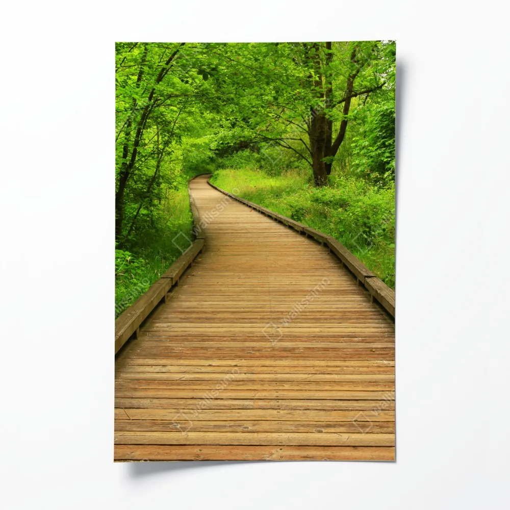 Poster ruhiger holzsteg im wald – Wallnifity® Poster ruhiger holzsteg im wald – Wallnifity®