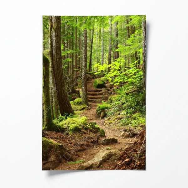 Poster herbstliche vogelbeeren im weidenkorb – Wallnifity®