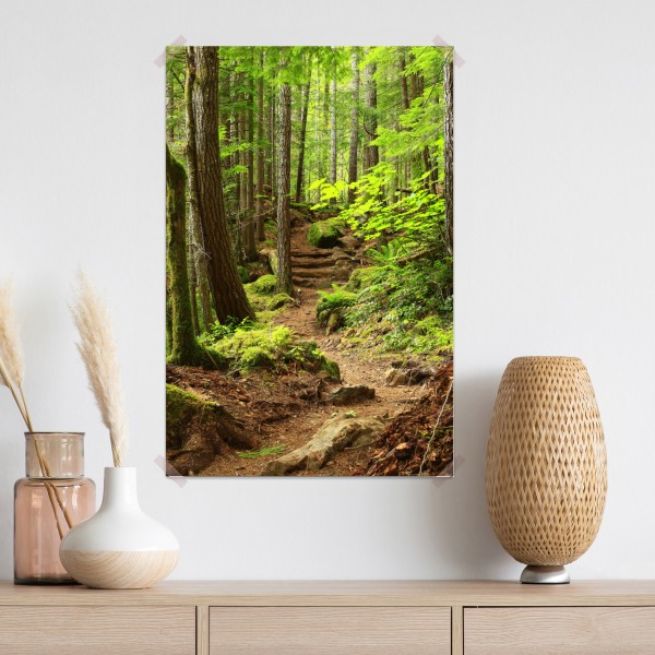 Poster moosiger waldpfad – Wallnifity® Poster moosiger waldpfad – Wallnifity®