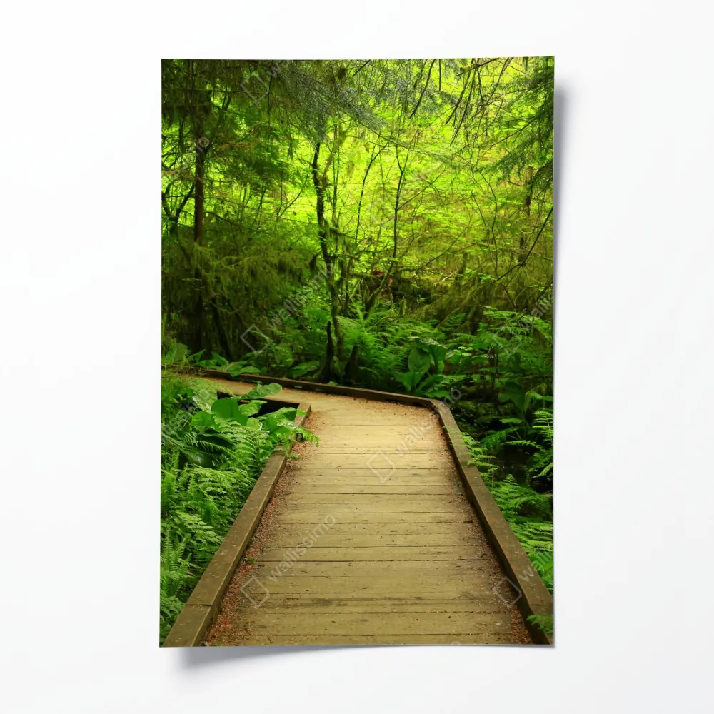 Poster ruhiger grüner waldsteg – Wallnifity® Poster ruhiger grüner waldsteg – Wallnifity®