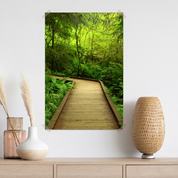 Poster ruhiger grüner waldsteg – Wallnifity® Poster ruhiger grüner waldsteg – Wallnifity®