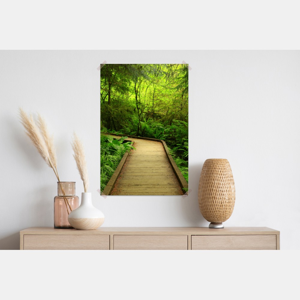 Poster ruhiger grüner waldsteg – Wallnifity® Poster ruhiger grüner waldsteg – Wallnifity®