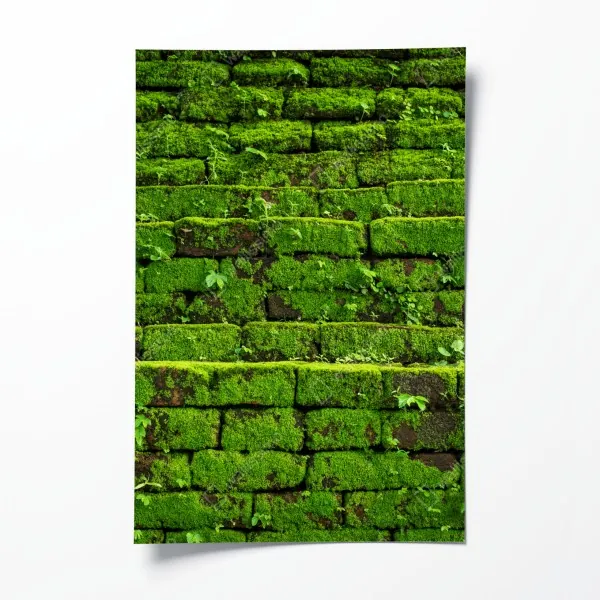 Poster üppige moosbedeckte ziegelwand