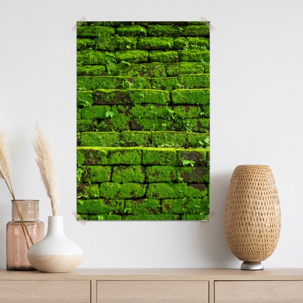 Poster üppige moosbedeckte ziegelwand – Wallnifity® Poster üppige moosbedeckte ziegelwand – Wallnifity®