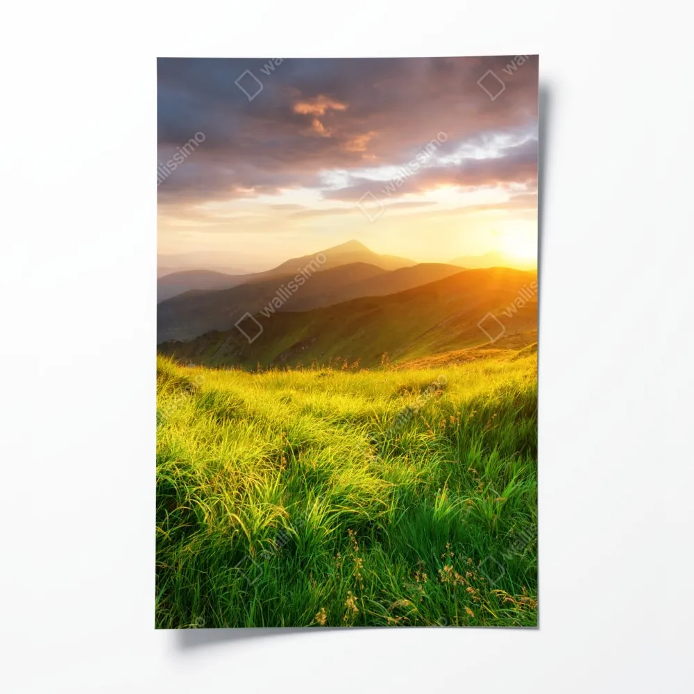 Poster sonnige bergwiese bei sonnenaufgang – Wallnifity® Poster sonnige bergwiese bei sonnenaufgang – Wallnifity®