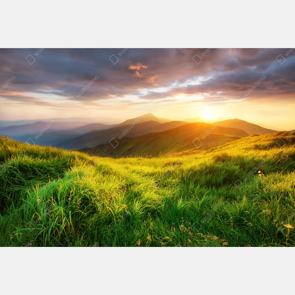 Poster sonnige bergwiese bei sonnenaufgang – Wallnifity® Poster sonnige bergwiese bei sonnenaufgang – Wallnifity®