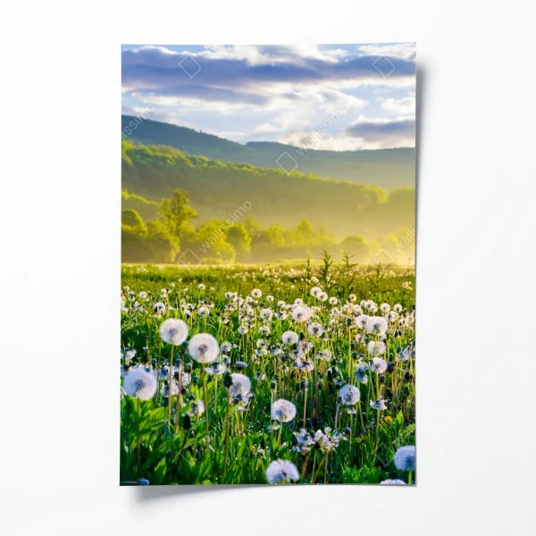 Poster sonnenuntergang am strand von Mahe, Seychellen – Wallnifity®