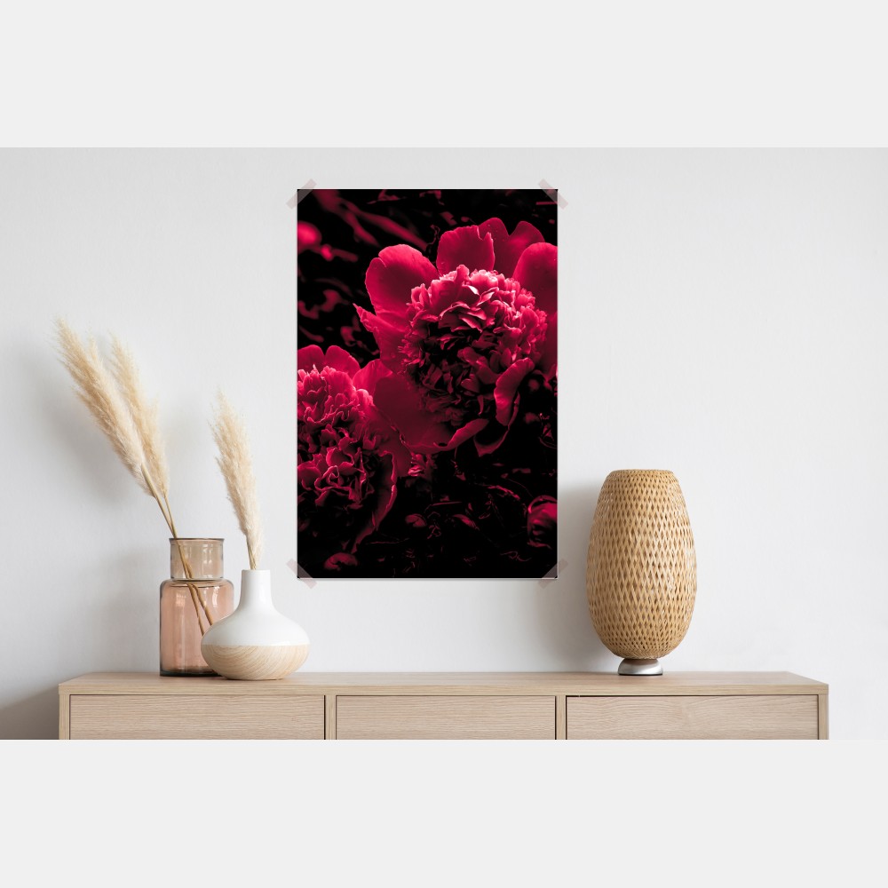Poster stimmungsvolle rosa pfingstrosen – Wallnifity® Poster stimmungsvolle rosa pfingstrosen – Wallnifity®