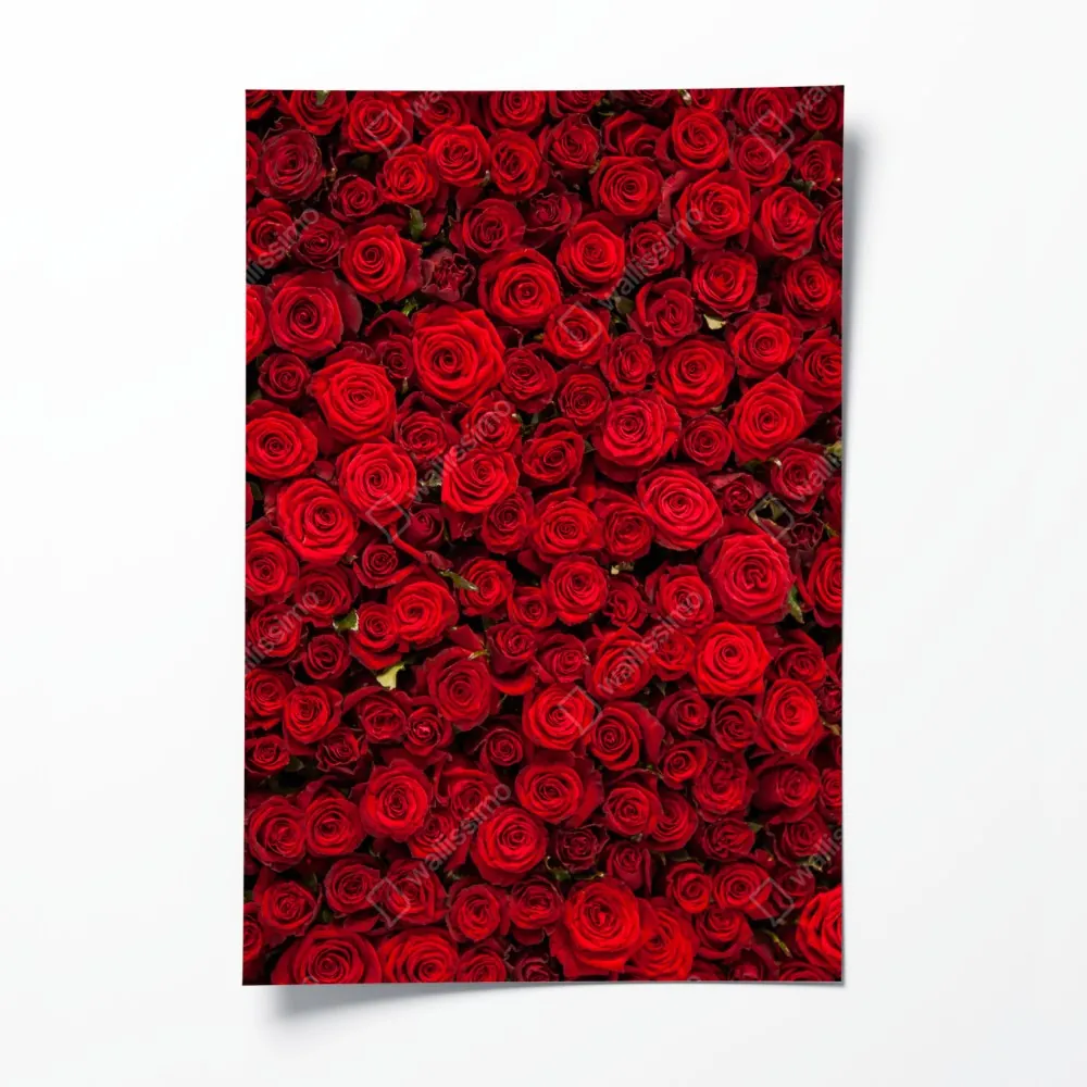 Poster endlose wand aus roten rosen – Wallnifity® Poster endlose wand aus roten rosen – Wallnifity®
