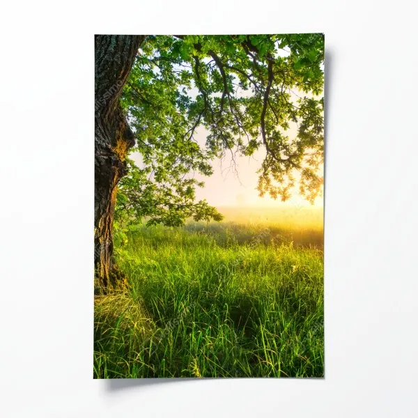 Poster lebendige violette abstrakte komposition – Wallnifity®