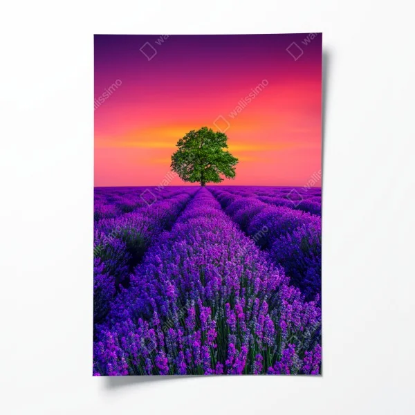 Poster ruhiger hölzerner steg durch grünen wald – Wallnifity®