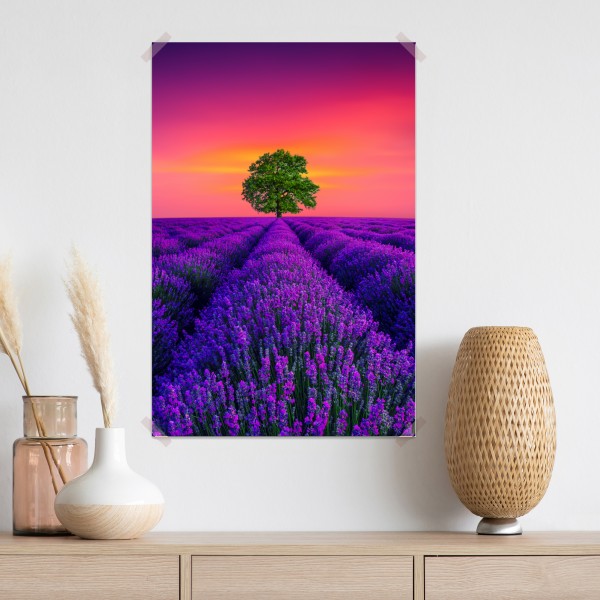 Poster lavendelfeld bei sonnenuntergang mit einsamem baum – Wallnifity® Poster lavendelfeld bei sonnenuntergang mit einsamem baum – Wallnifity®
