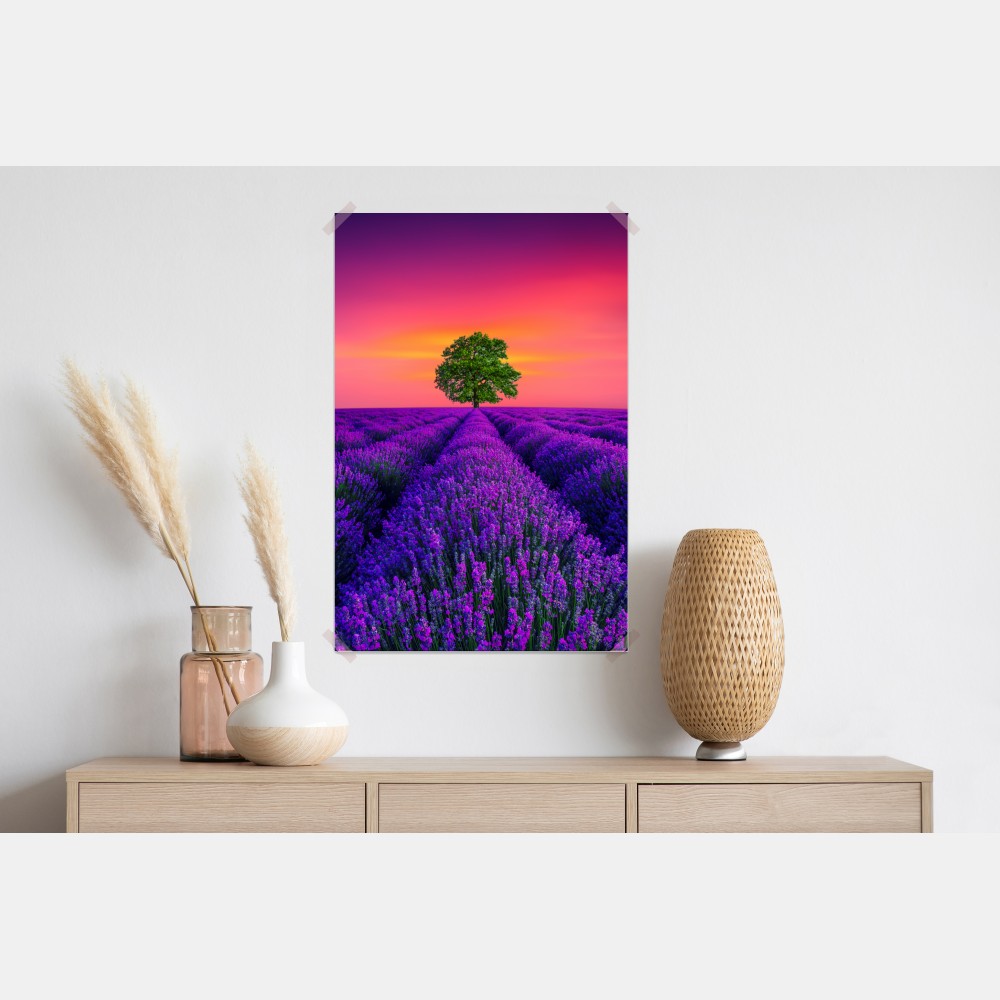 Poster lavendelfeld bei sonnenuntergang mit einsamem baum – Wallnifity® Poster lavendelfeld bei sonnenuntergang mit einsamem baum – Wallnifity®