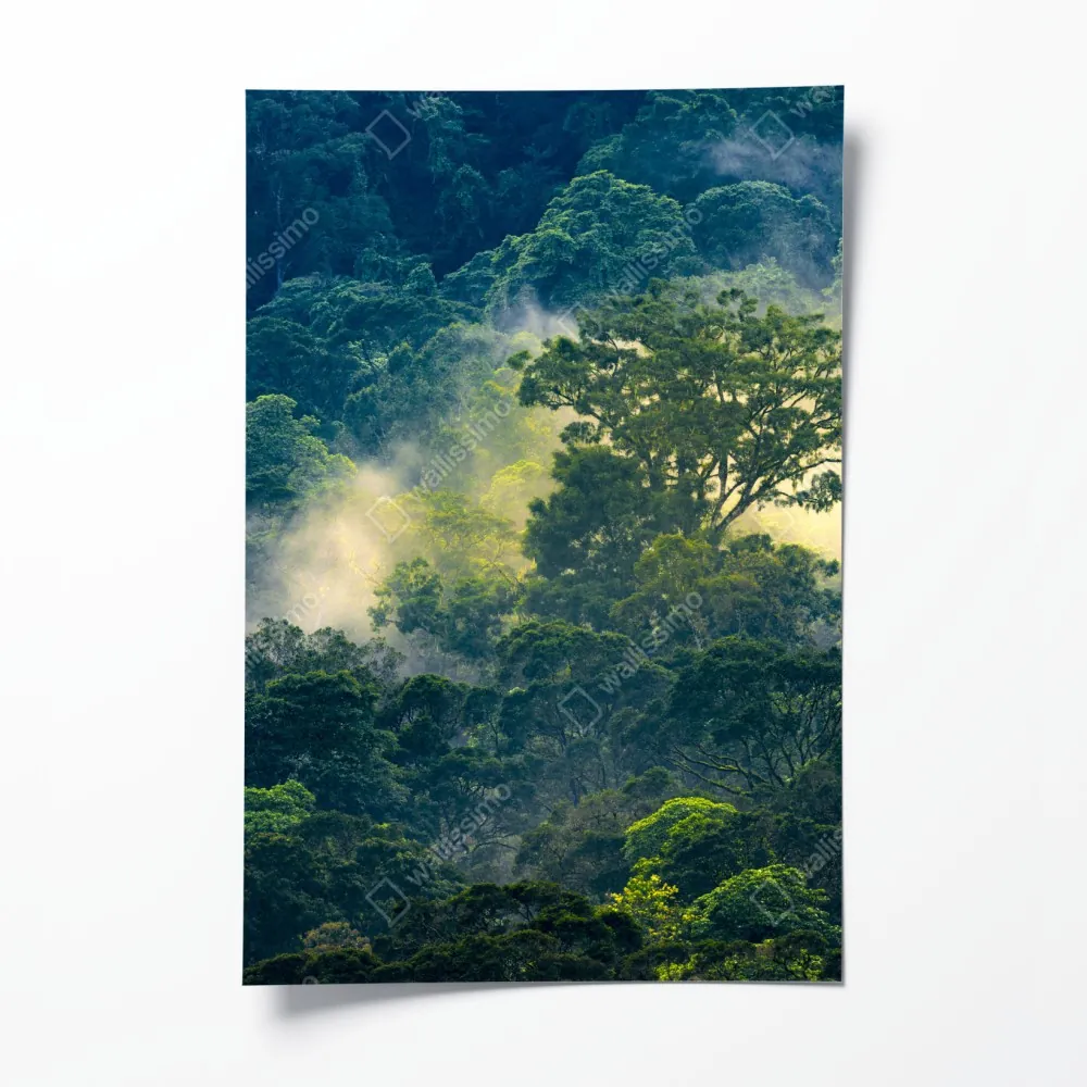 Poster nebliger regenwald mit baumkronen – Wallnifity® Poster nebliger regenwald mit baumkronen – Wallnifity®