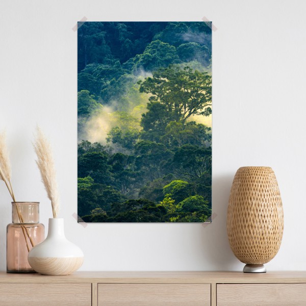 Poster nebliger regenwald mit baumkronen – Wallnifity® Poster nebliger regenwald mit baumkronen – Wallnifity®