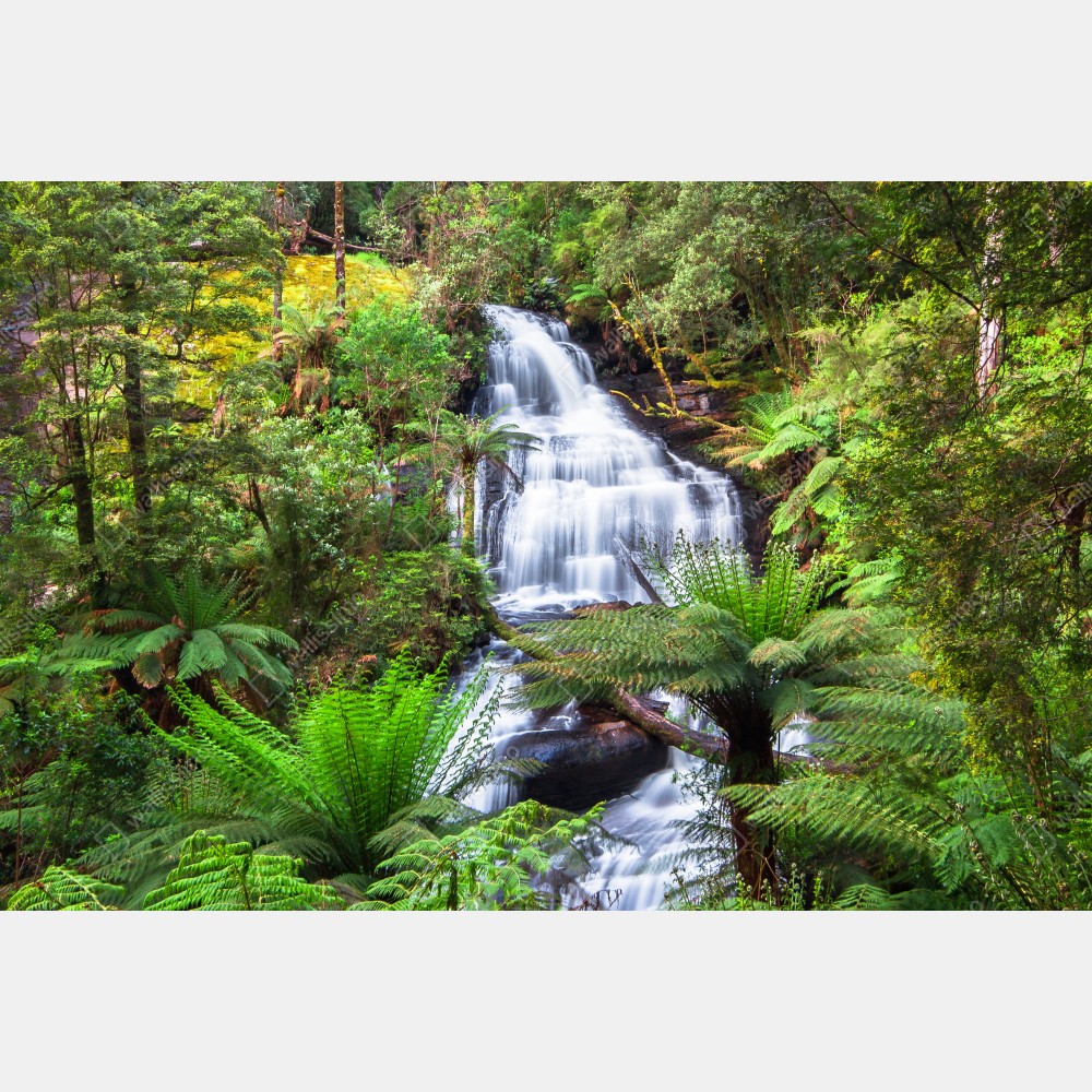 Poster Triplet Falls wasserfall im Great Otway National Park – Wallnifity® Poster Triplet Falls wasserfall im Great Otway National Park – Wallnifity®
