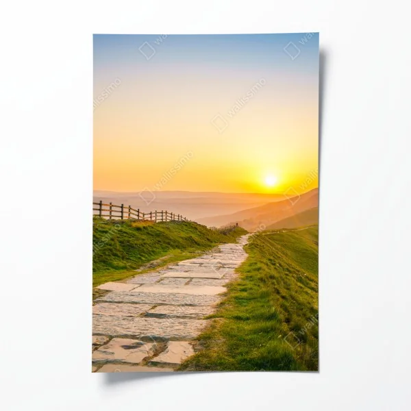 Poster braunes pferd im gelben rapsfeld – Wallnifity®