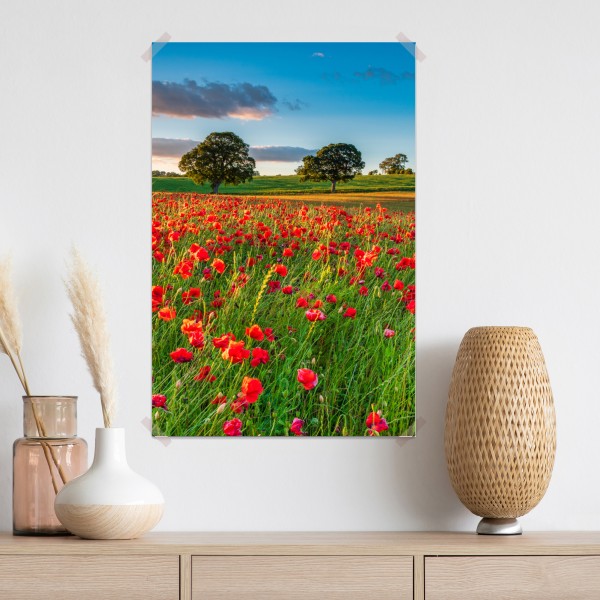 Poster rotes mohnfeld bei Corbridge – Wallnifity® Poster rotes mohnfeld bei Corbridge – Wallnifity®