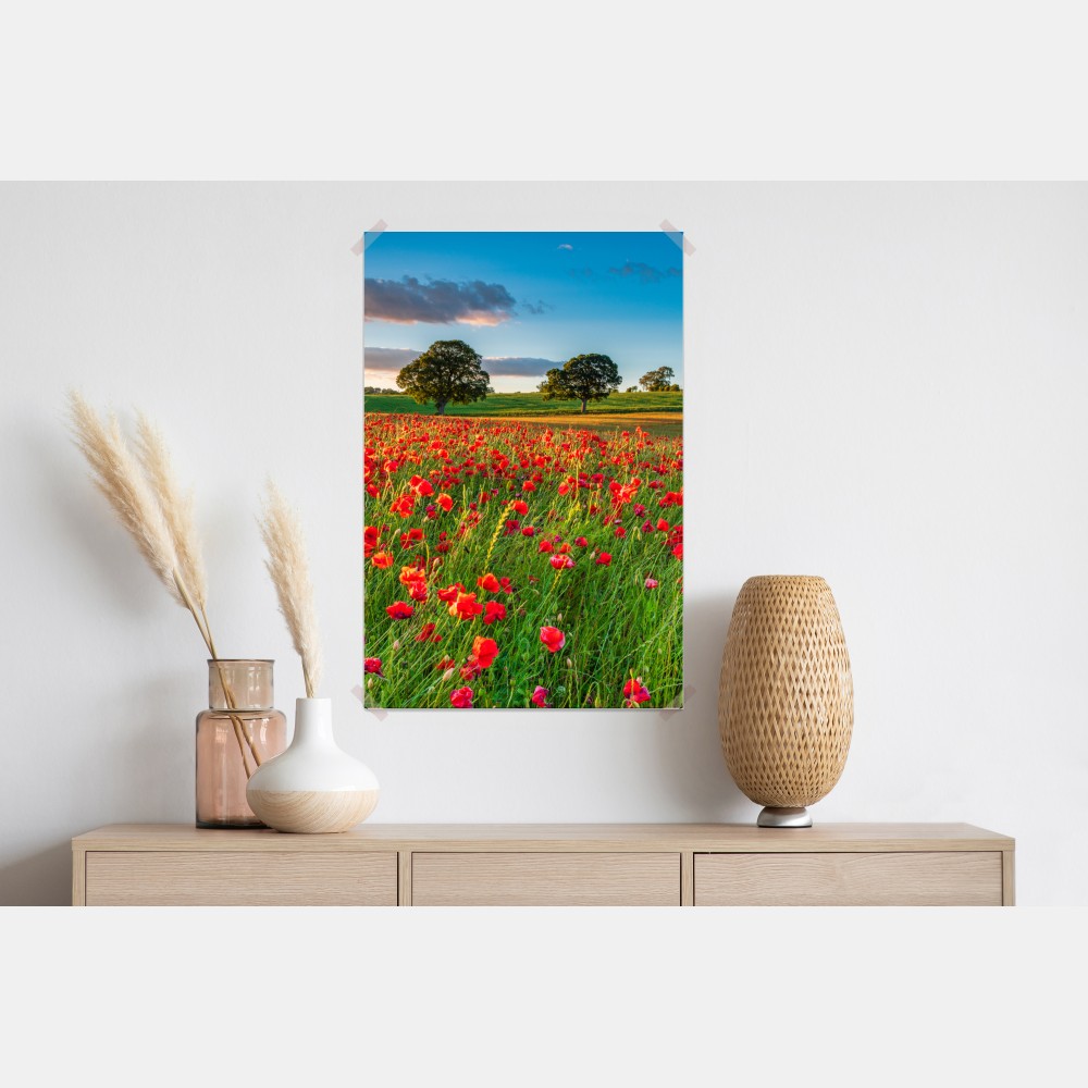 Poster rotes mohnfeld bei Corbridge – Wallnifity® Poster rotes mohnfeld bei Corbridge – Wallnifity®
