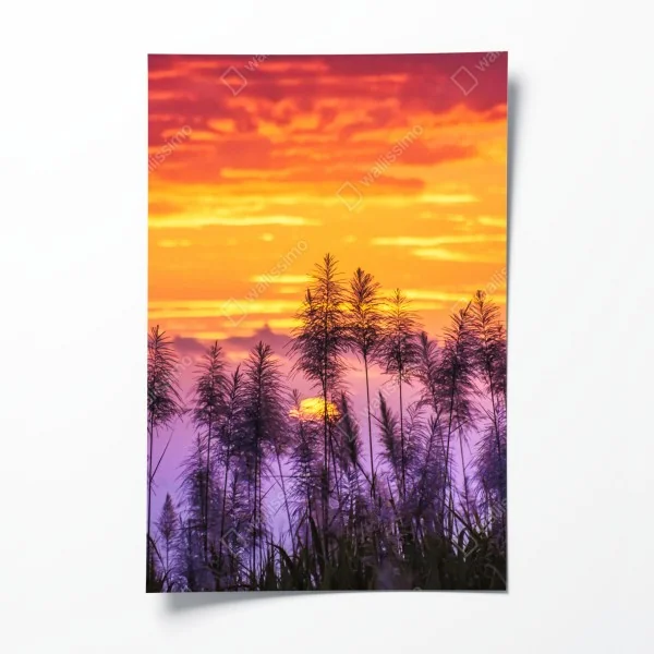 Poster mangrovensteg durch üppigen grünen dschungel – Wallnifity®