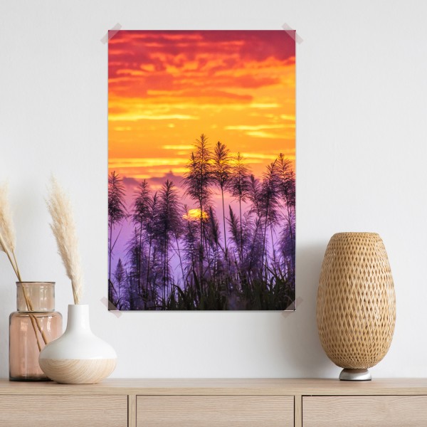 Poster goldener sonnenuntergang über wildgräsern – Wallnifity® Poster goldener sonnenuntergang über wildgräsern – Wallnifity®