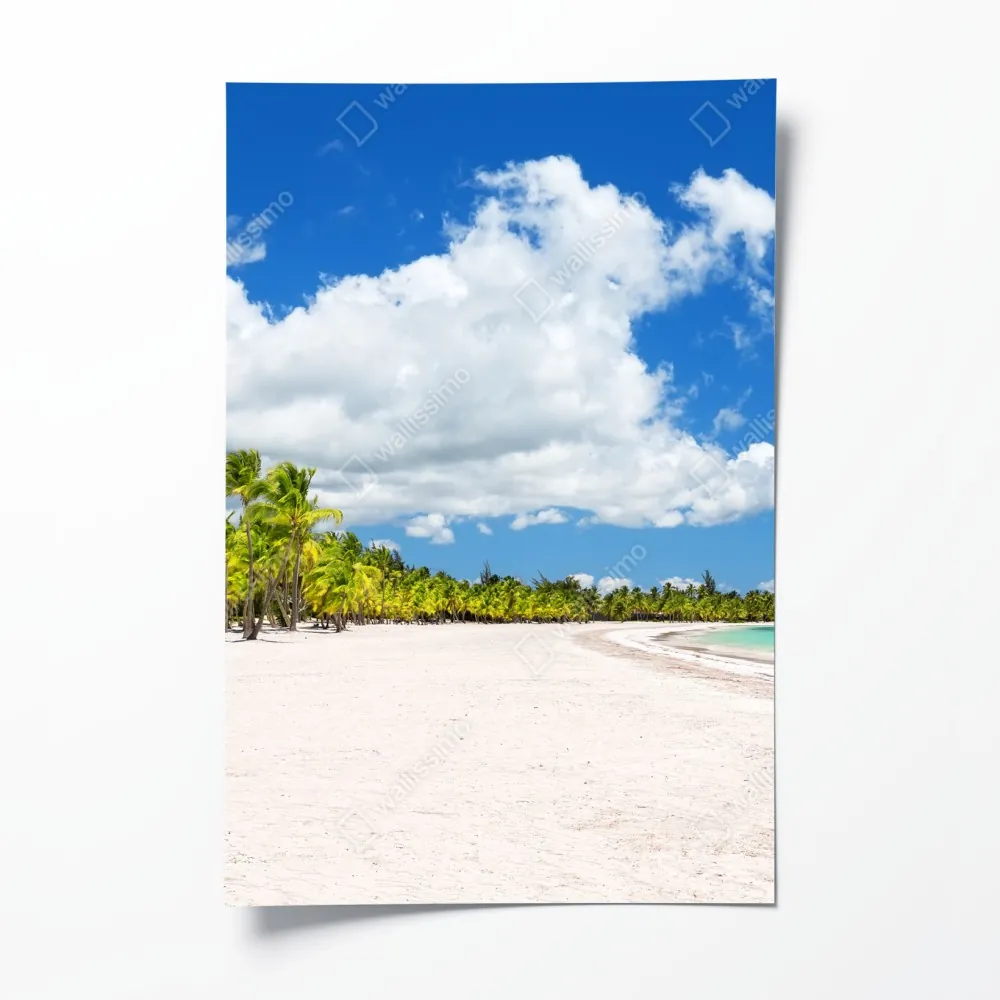 Poster tropischer strand in Punta Cana – Wallnifity® Poster tropischer strand in Punta Cana – Wallnifity®