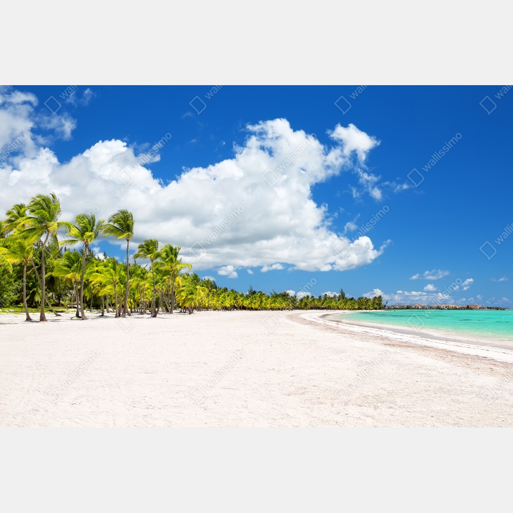 Poster tropischer strand in Punta Cana – Wallnifity® Poster tropischer strand in Punta Cana – Wallnifity®