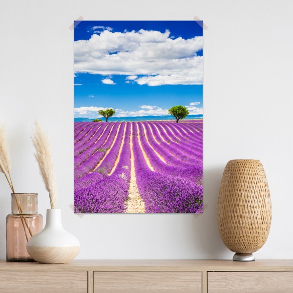 Poster lavendelfelder in Provence – Wallnifity® Poster lavendelfelder in Provence – Wallnifity®