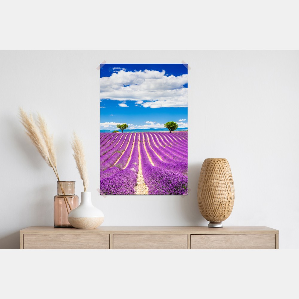 Poster lavendelfelder in Provence – Wallnifity® Poster lavendelfelder in Provence – Wallnifity®