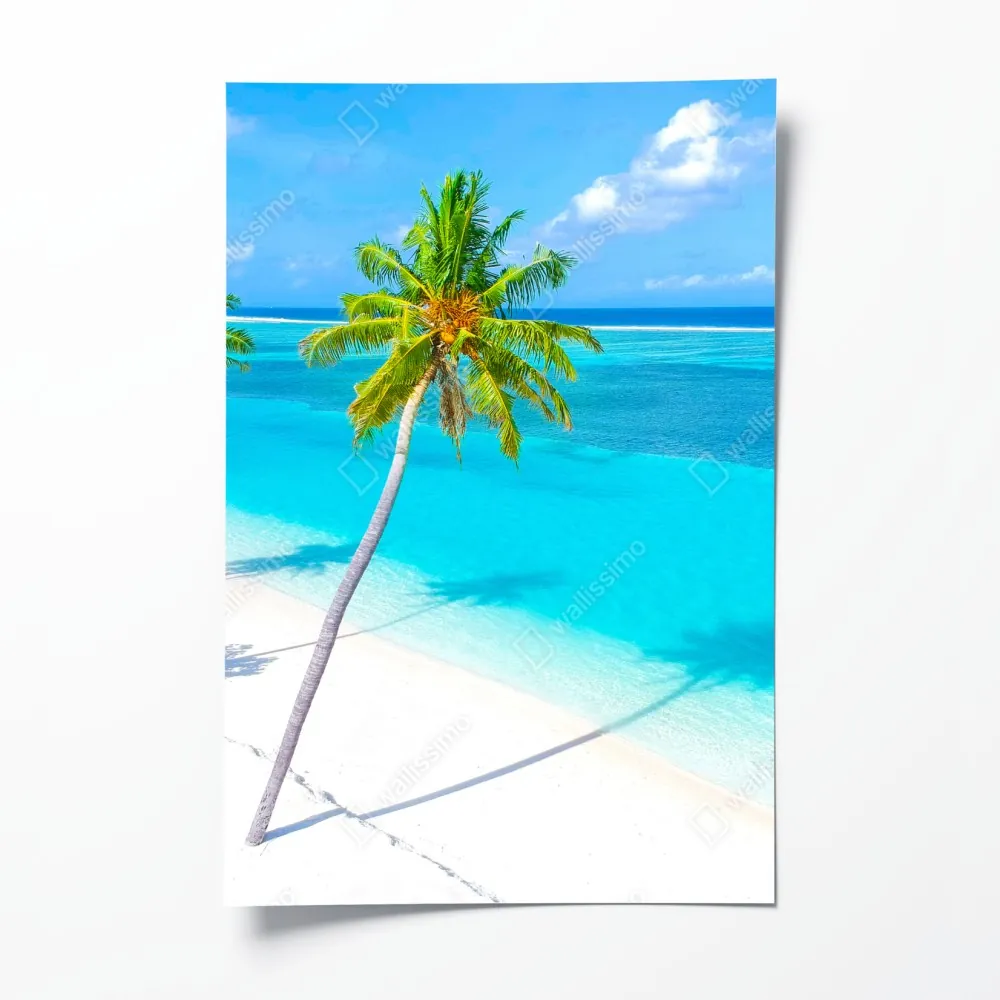 Poster tropischer türkisfarbener strand mit palmen – Wallnifity® Poster tropischer türkisfarbener strand mit palmen – Wallnifity®