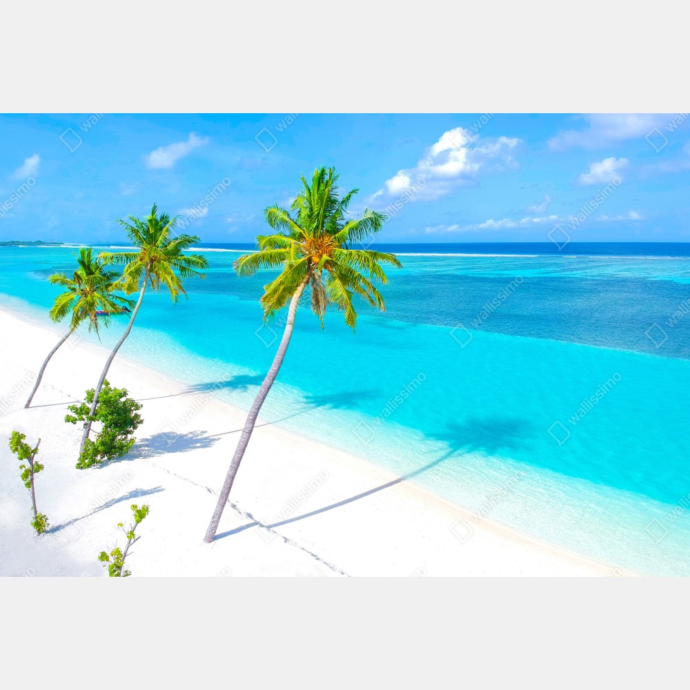 Poster tropischer türkisfarbener strand mit palmen – Wallnifity® Poster tropischer türkisfarbener strand mit palmen – Wallnifity®