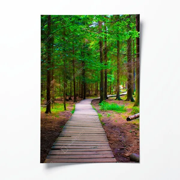 Poster ruhige winterliche fjordlandschaft in Reine, Lofoten – Wallnifity®