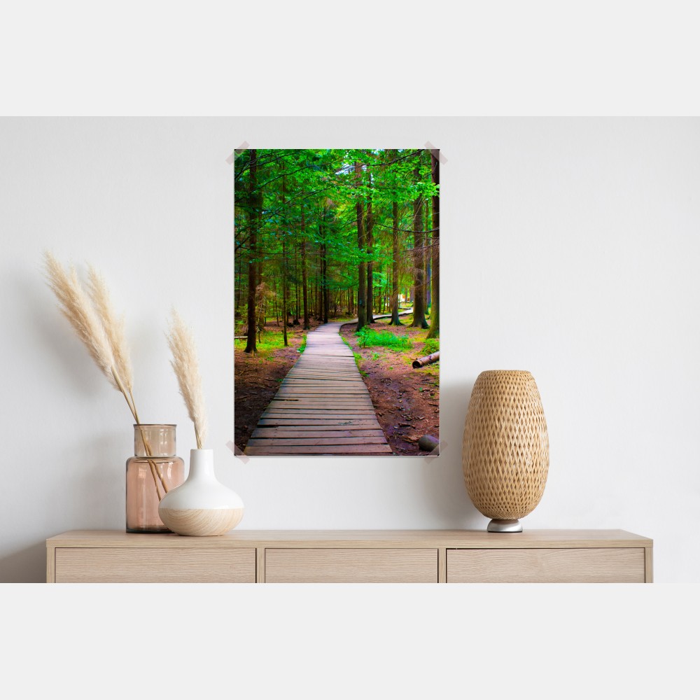 Poster ruhiger waldsteg im grünen – Wallnifity® Poster ruhiger waldsteg im grünen – Wallnifity®