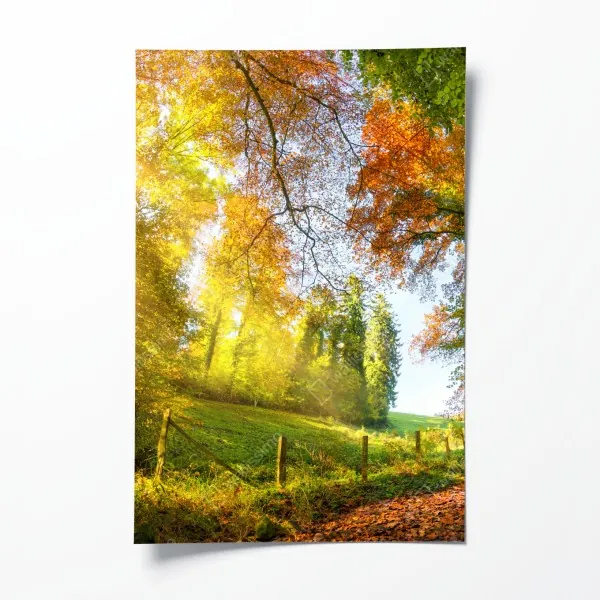 Poster üppiges grünes tal – Wallnifity®