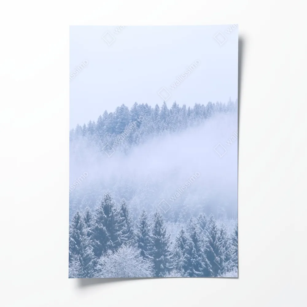 Poster winternebel über nadelwald – Wallnifity®