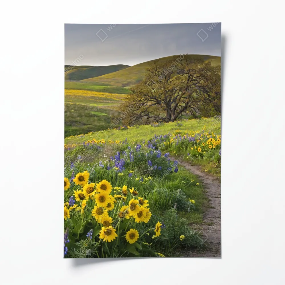 Poster pfad durch blumenwiese mit eichenbaum – Wallnifity® Poster pfad durch blumenwiese mit eichenbaum – Wallnifity®