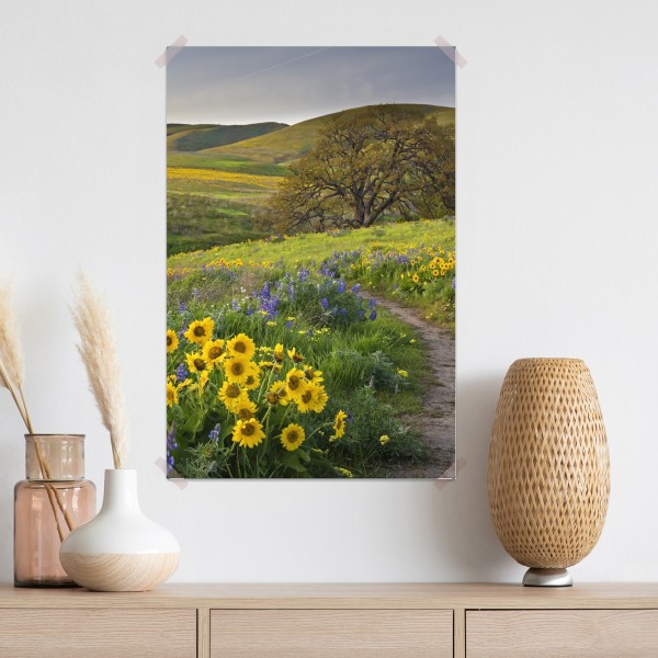 Poster pfad durch blumenwiese mit eichenbaum – Wallnifity® Poster pfad durch blumenwiese mit eichenbaum – Wallnifity®