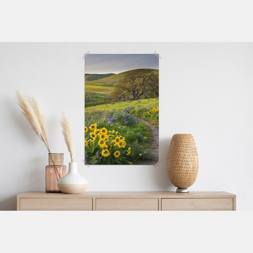 Poster pfad durch blumenwiese mit eichenbaum – Wallnifity® Poster pfad durch blumenwiese mit eichenbaum – Wallnifity®