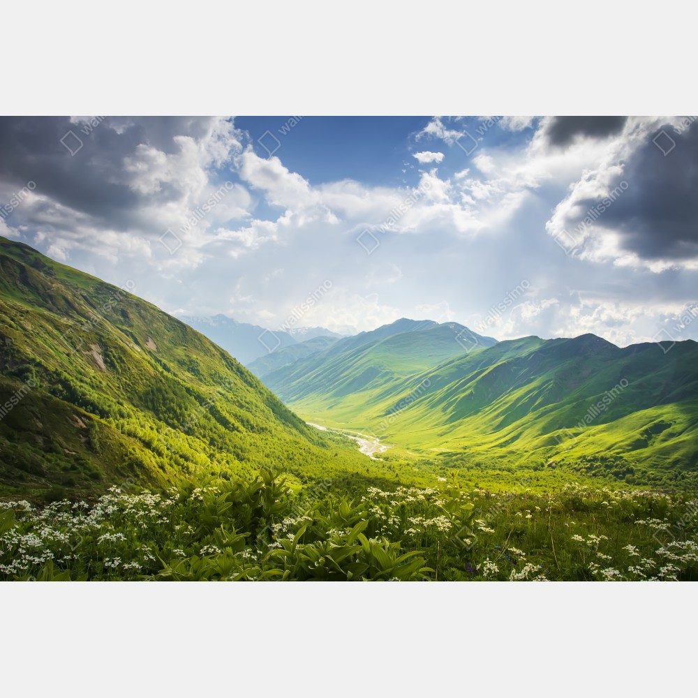 Poster üppiges grünes tal – Wallnifity® Poster üppiges grünes tal – Wallnifity®