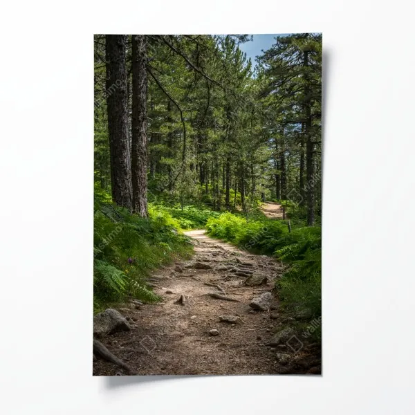 Poster Le Morne panorama der türkislagune – Wallnifity®