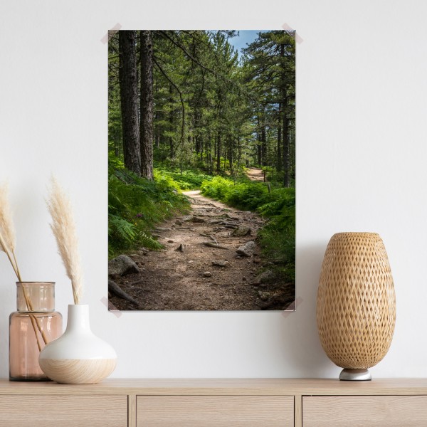 Poster ruhiger waldpfad durch üppiges grün – Wallnifity® Poster ruhiger waldpfad durch üppiges grün – Wallnifity®
